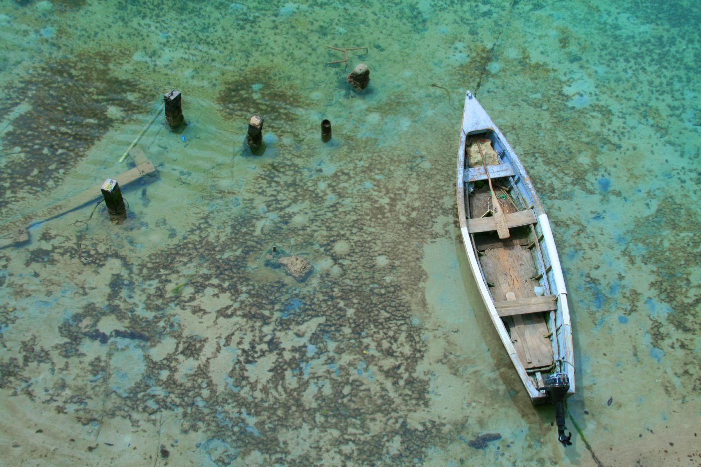 boat on the coral coast