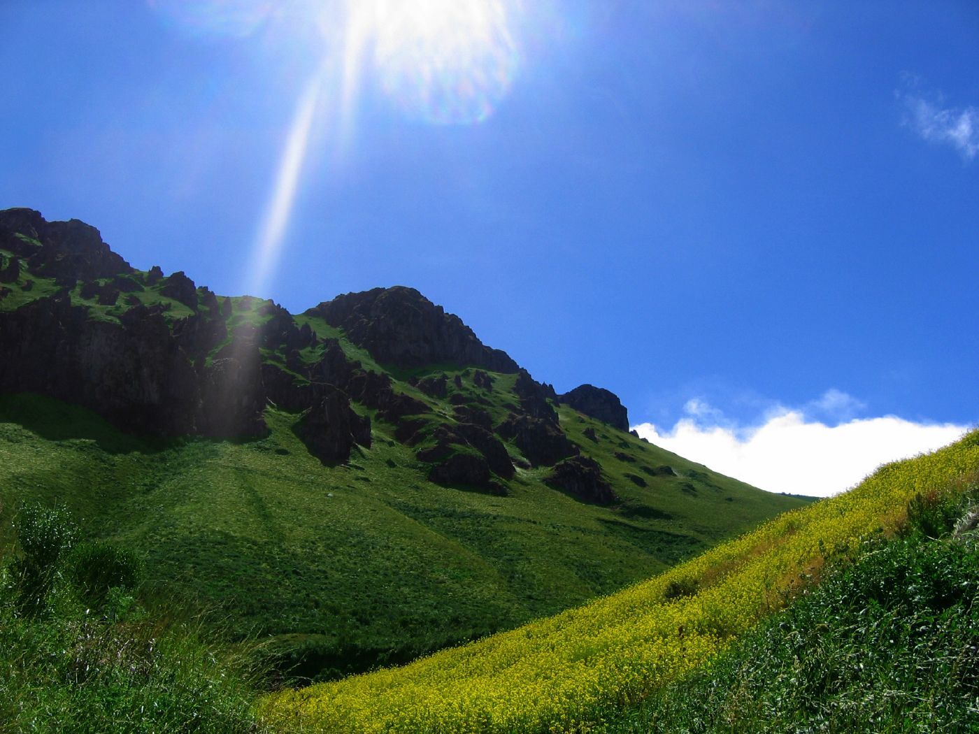 the Andes of Ecuador