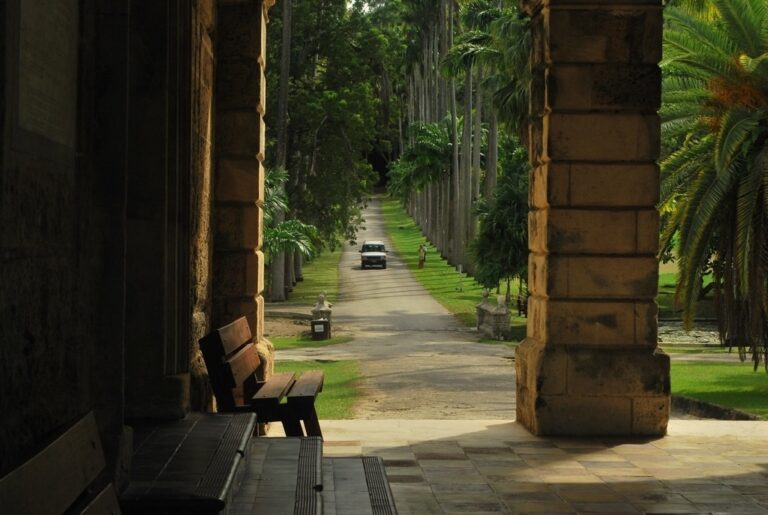 View from forecourt of Codrington College