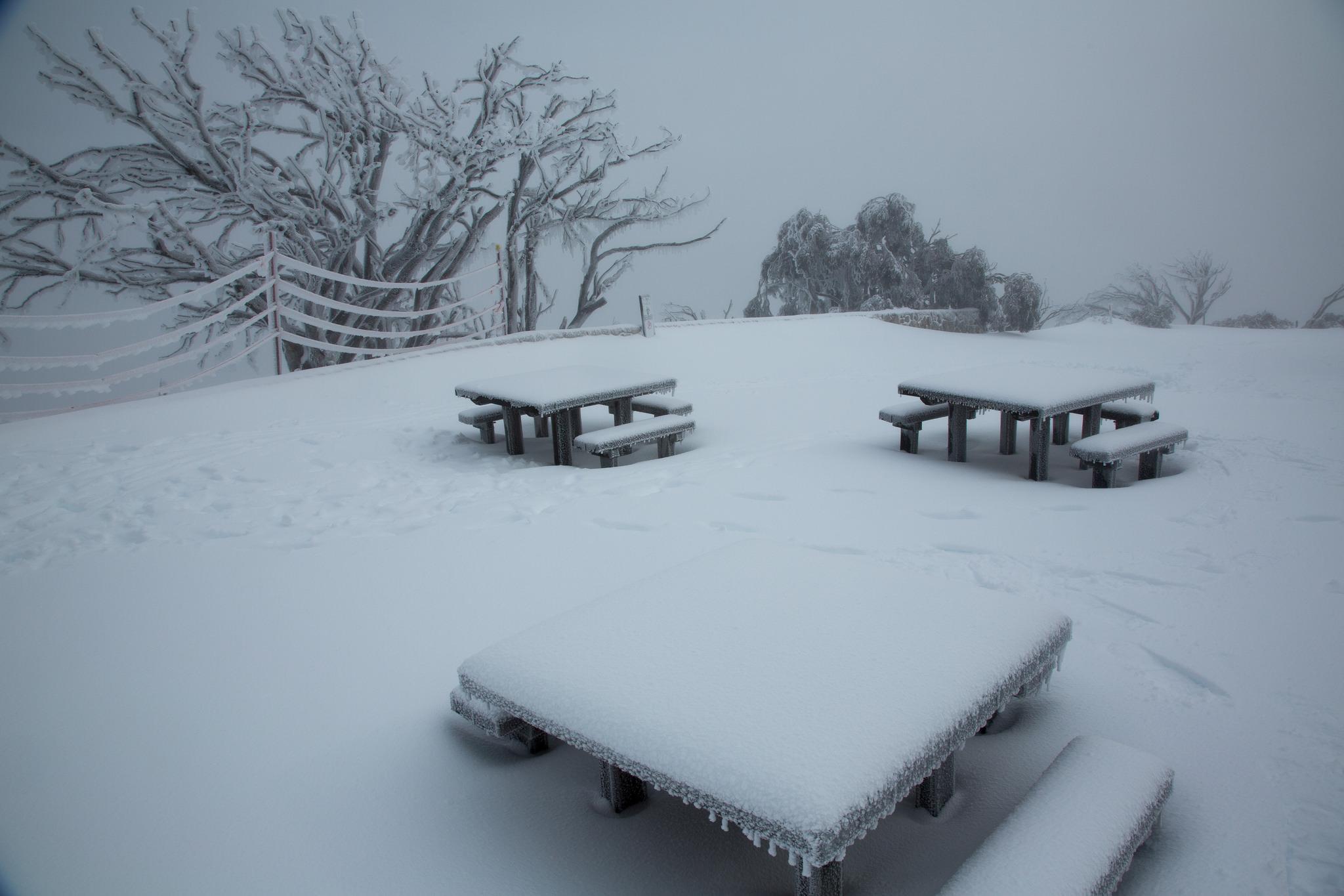 Snow cover in Mount Buffalo, Victoria