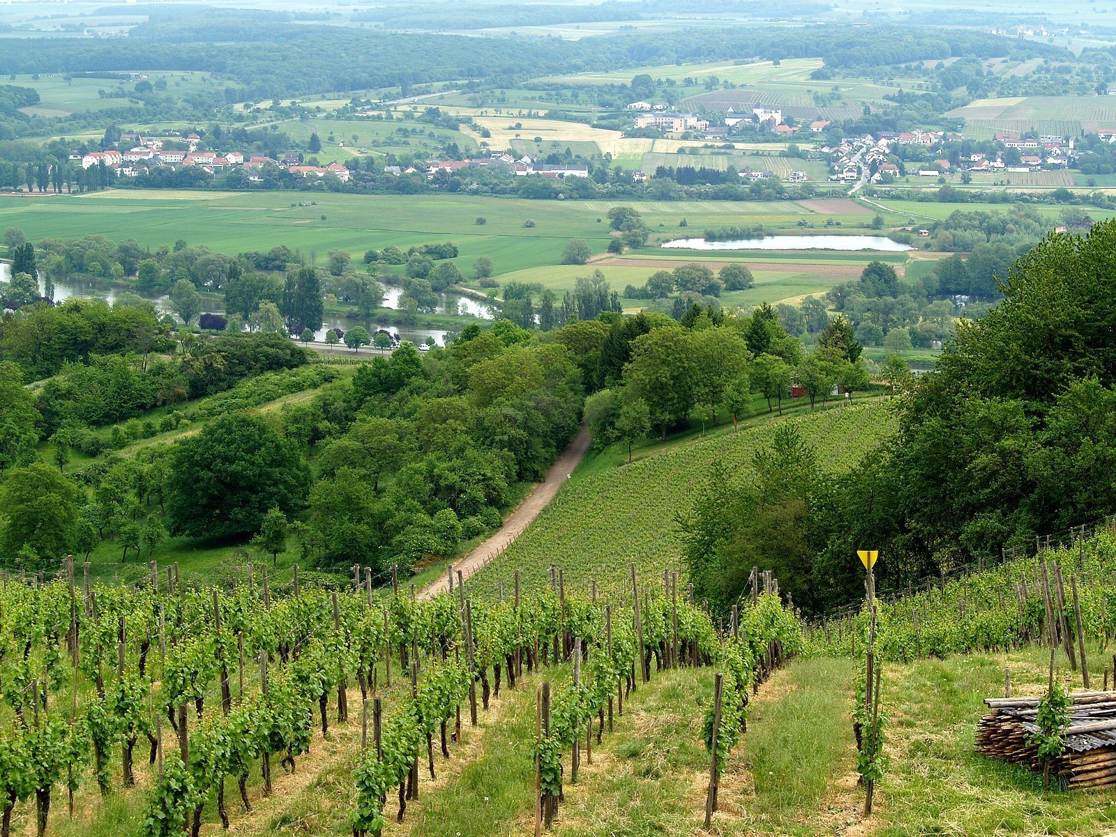 wineyard luxembourg