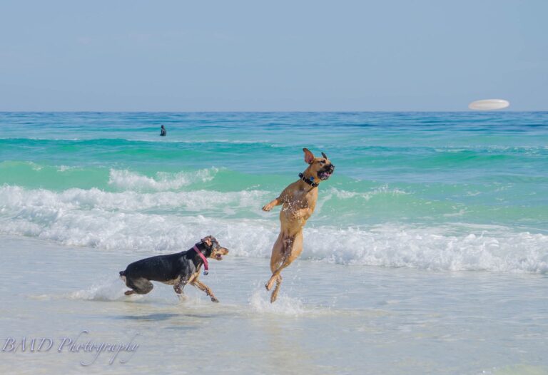 Pensacola Beach, Florida