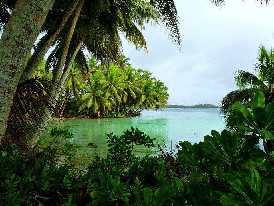 Strawn Island at Palmyra Atoll