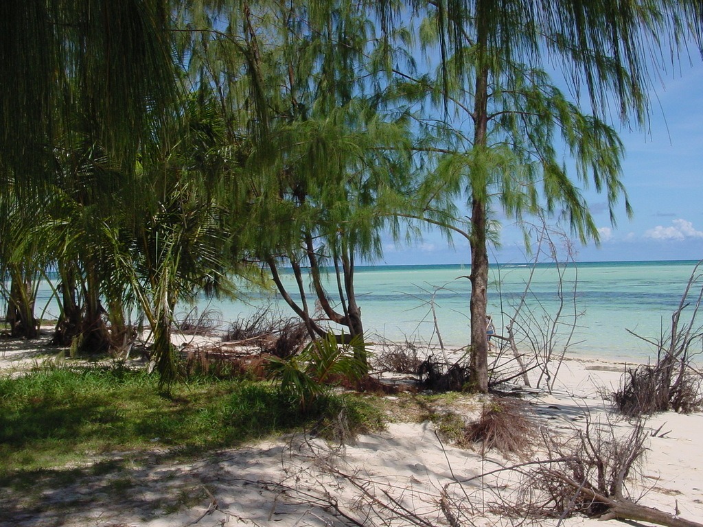 Lonely beach in Saipan