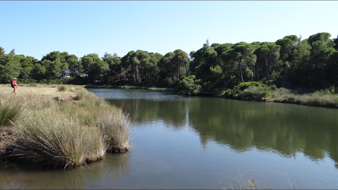 lake strofilias