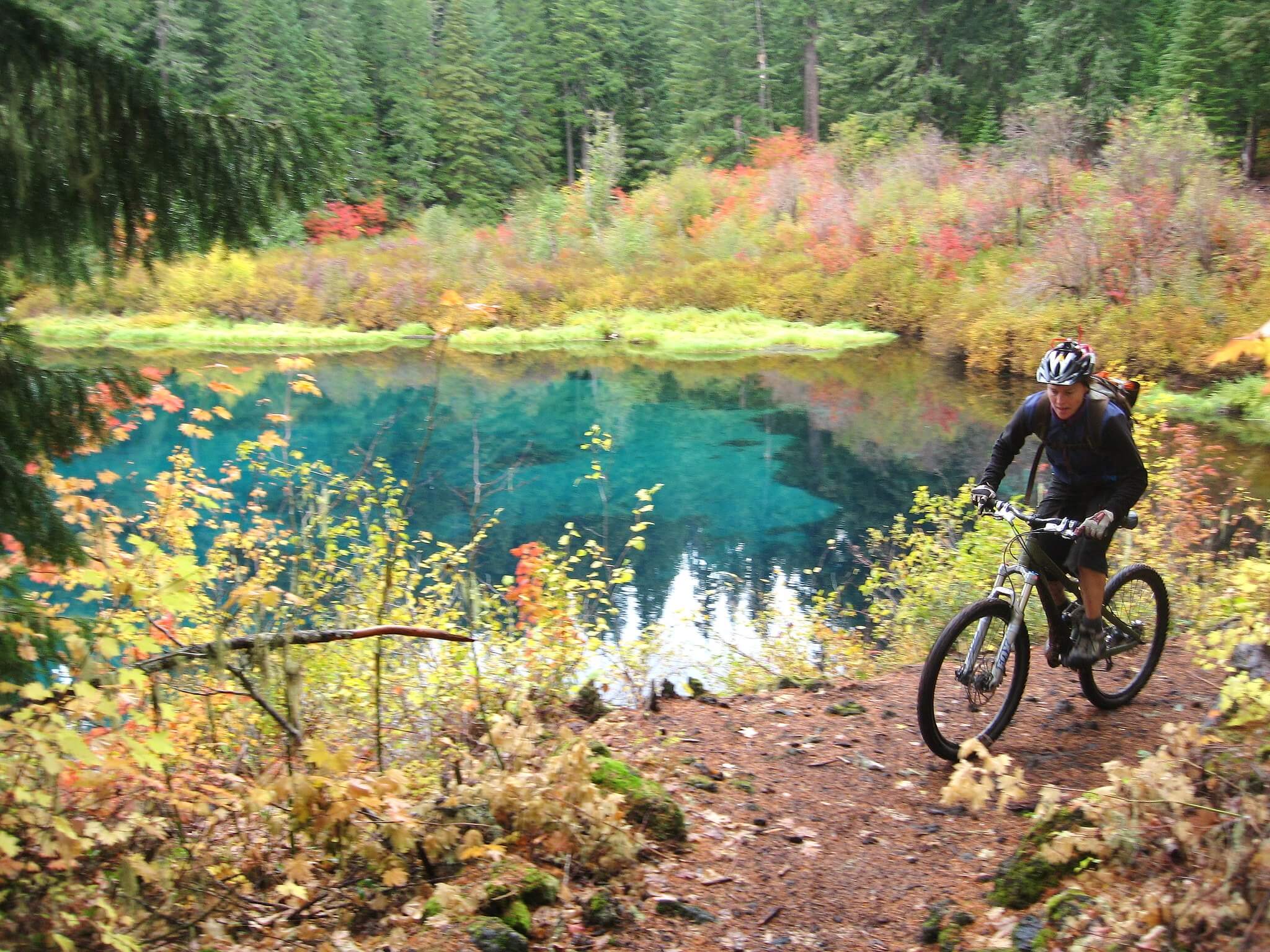 biking in mckenzie river trail