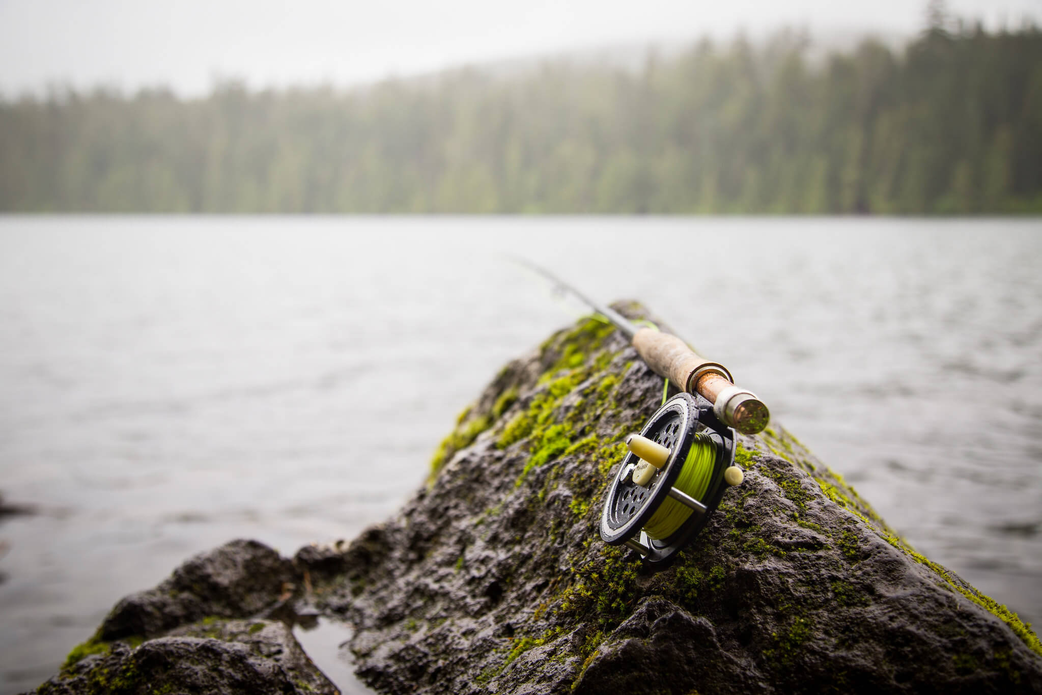 fishing