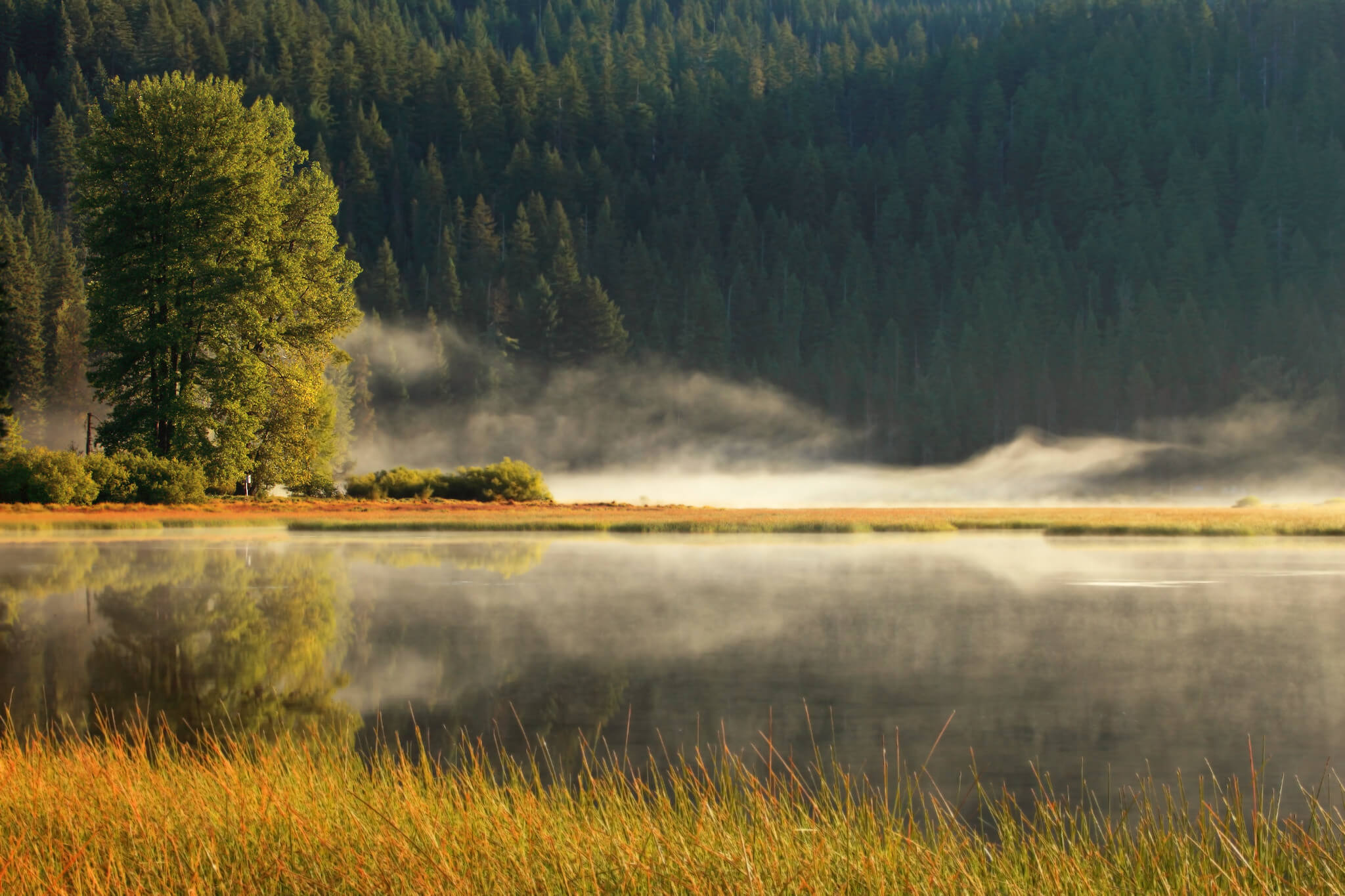 misty morning