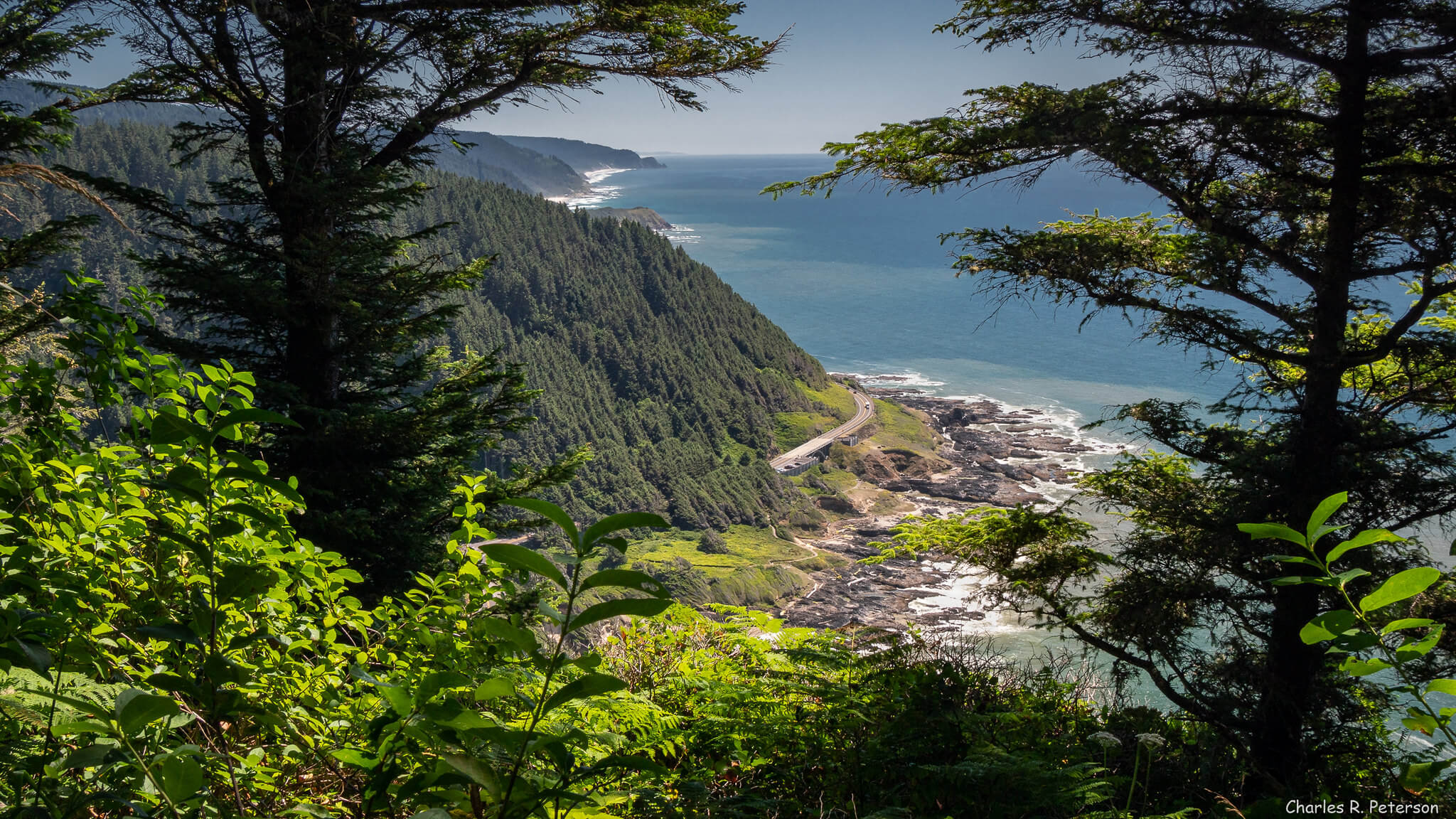 siuslaw national forest