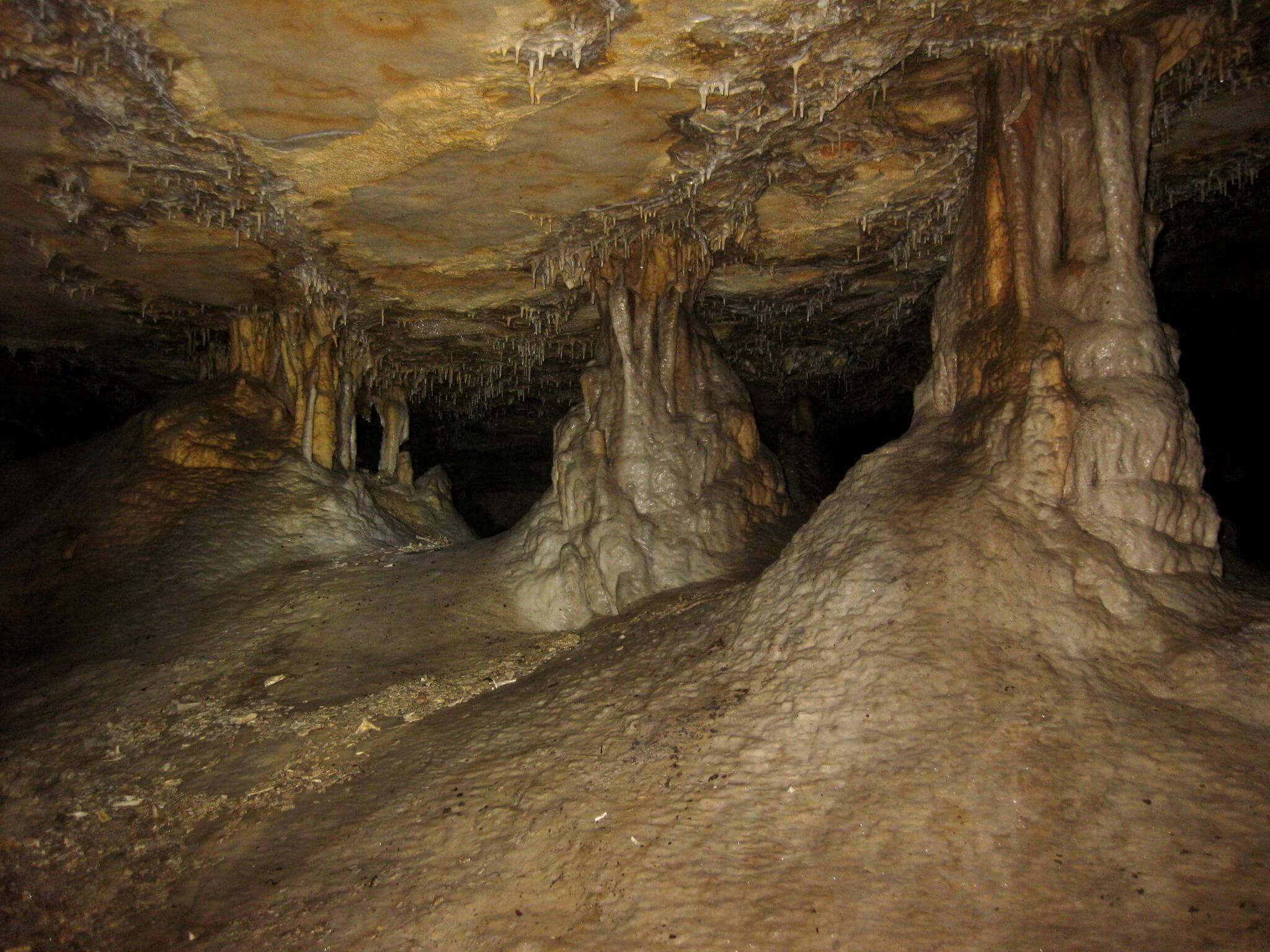 mammoth cave national park