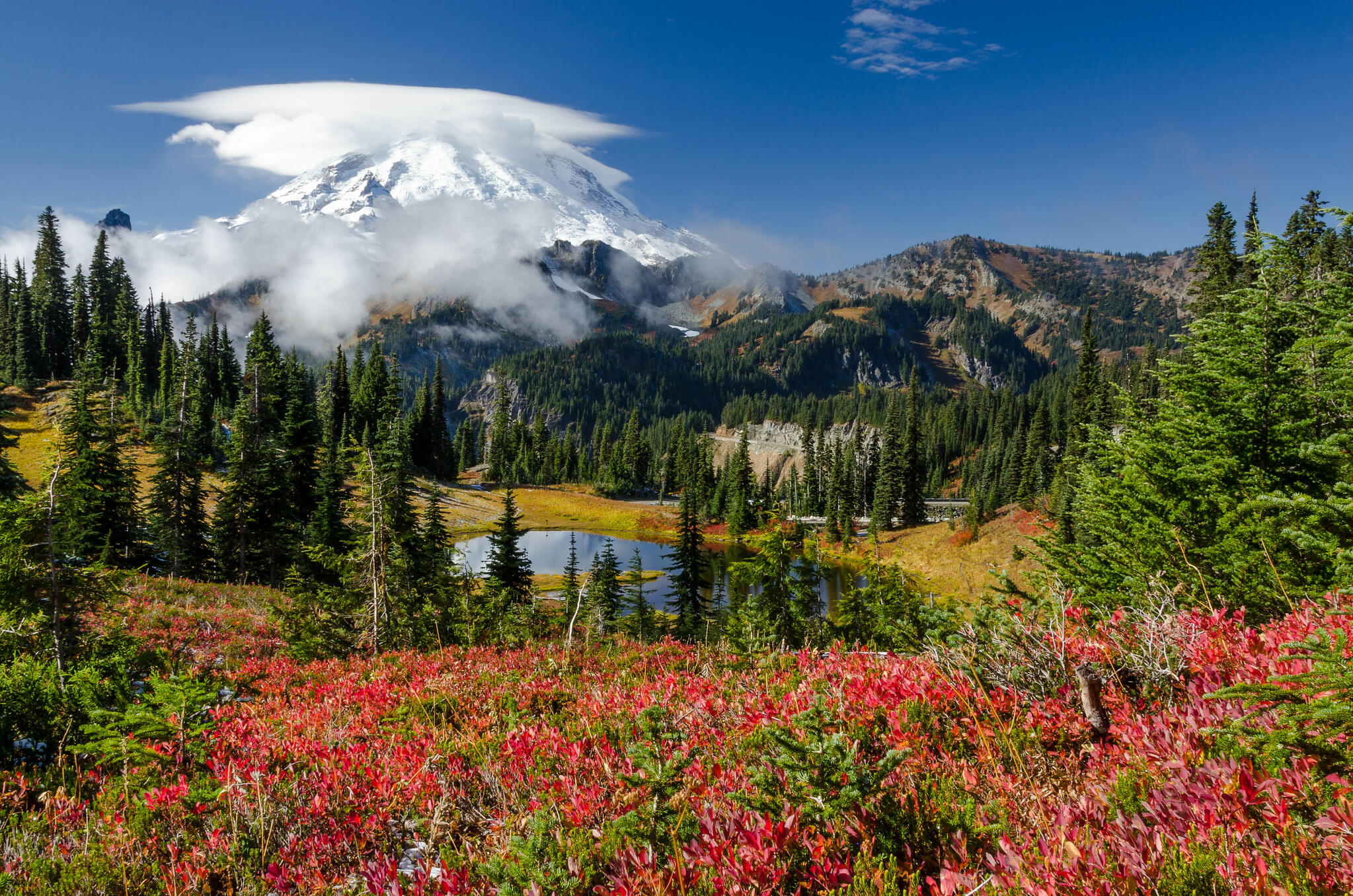 mount rainier national park