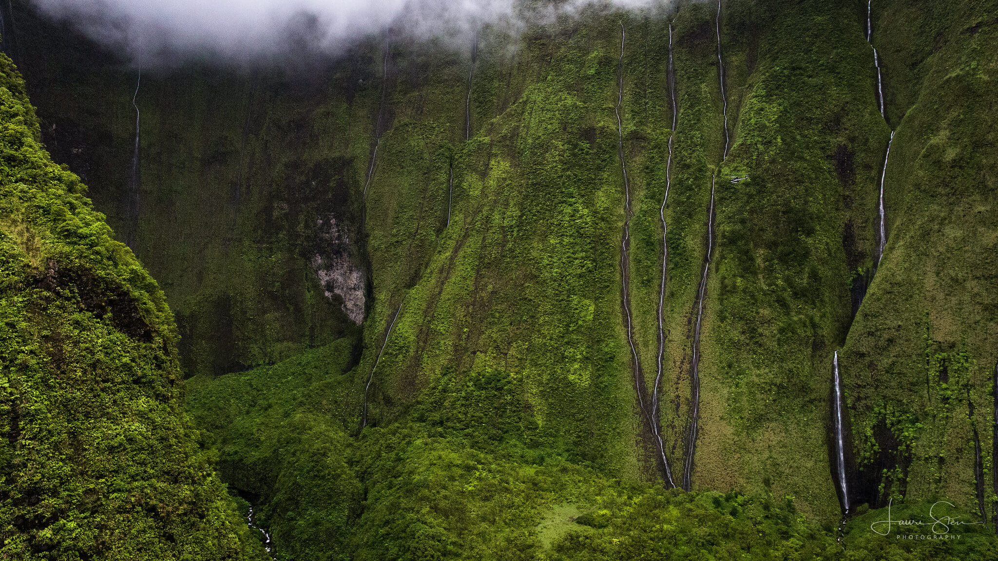 mount waialeale kauai