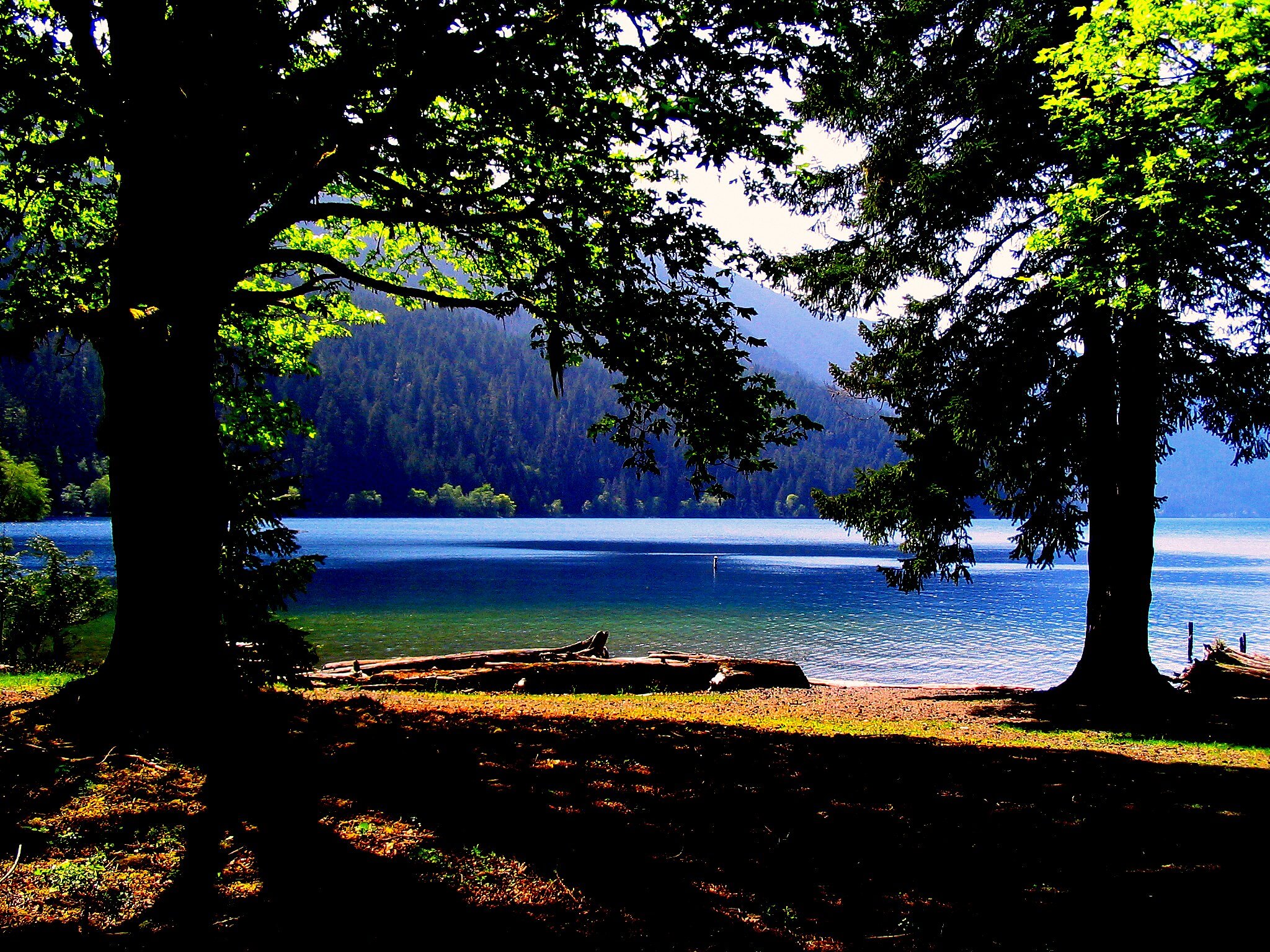 olympic national park