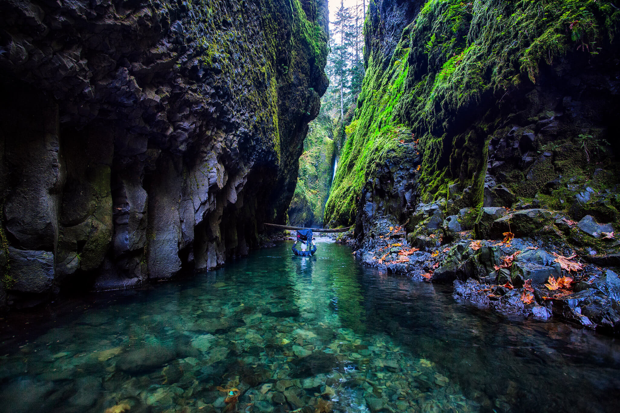 oneonta gorge