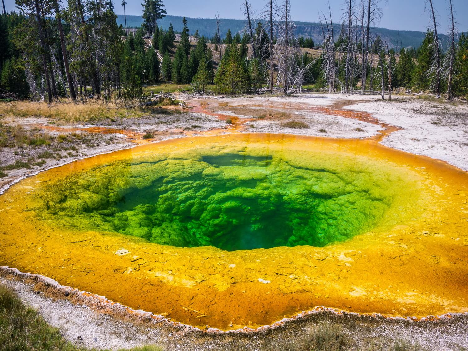 yellowstone national park