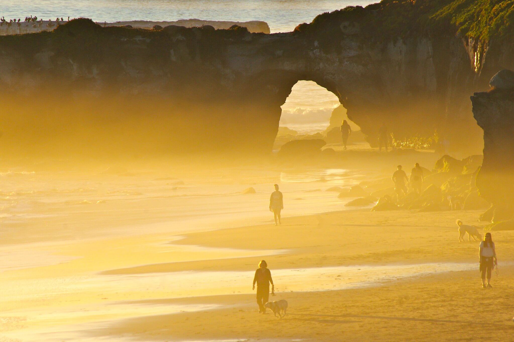 natural bridges state park