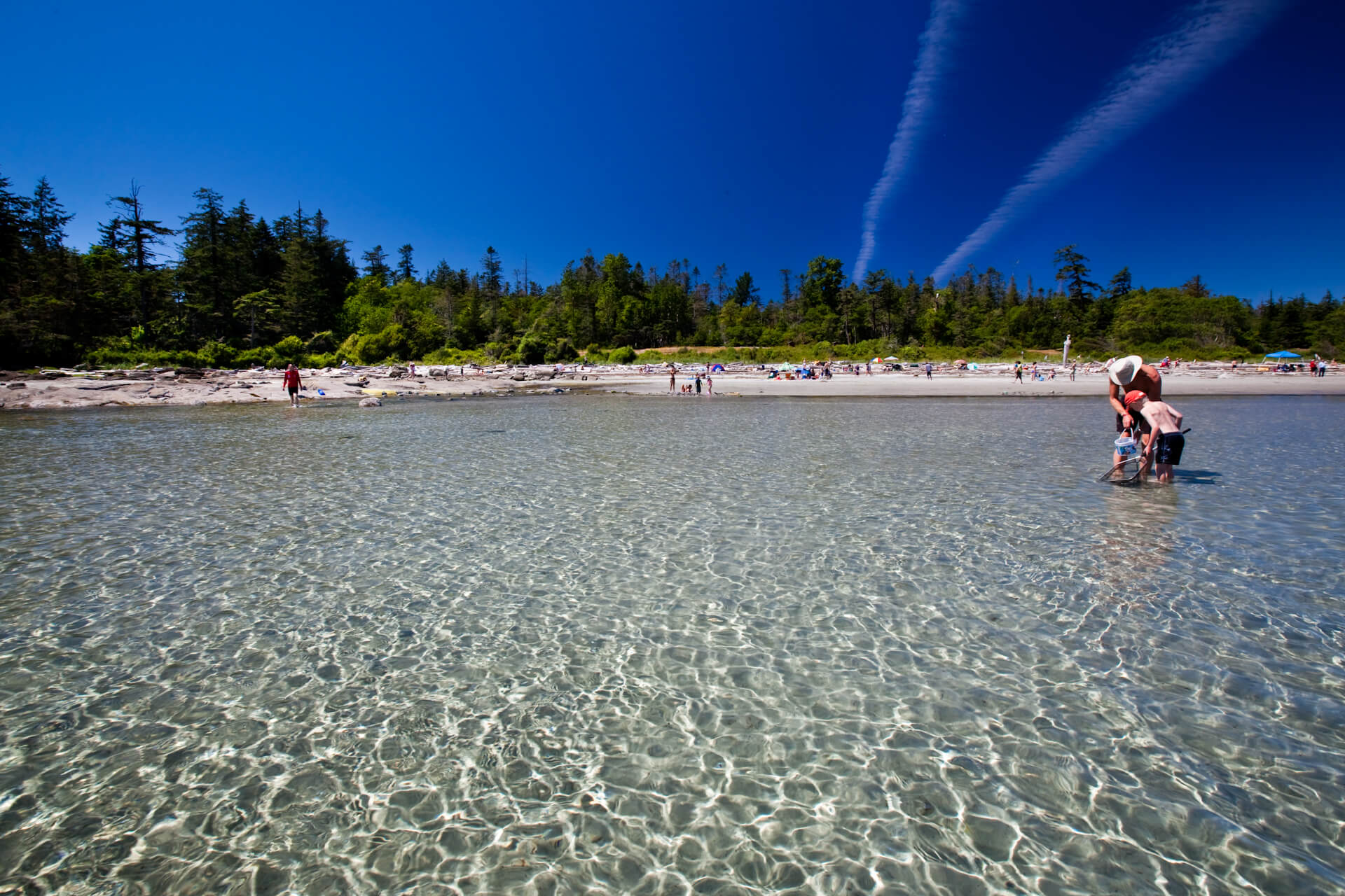 tribune bay beach