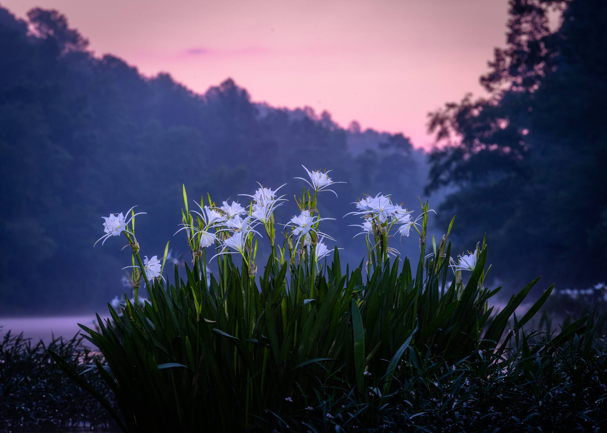 cahaba river national wildlife refuge