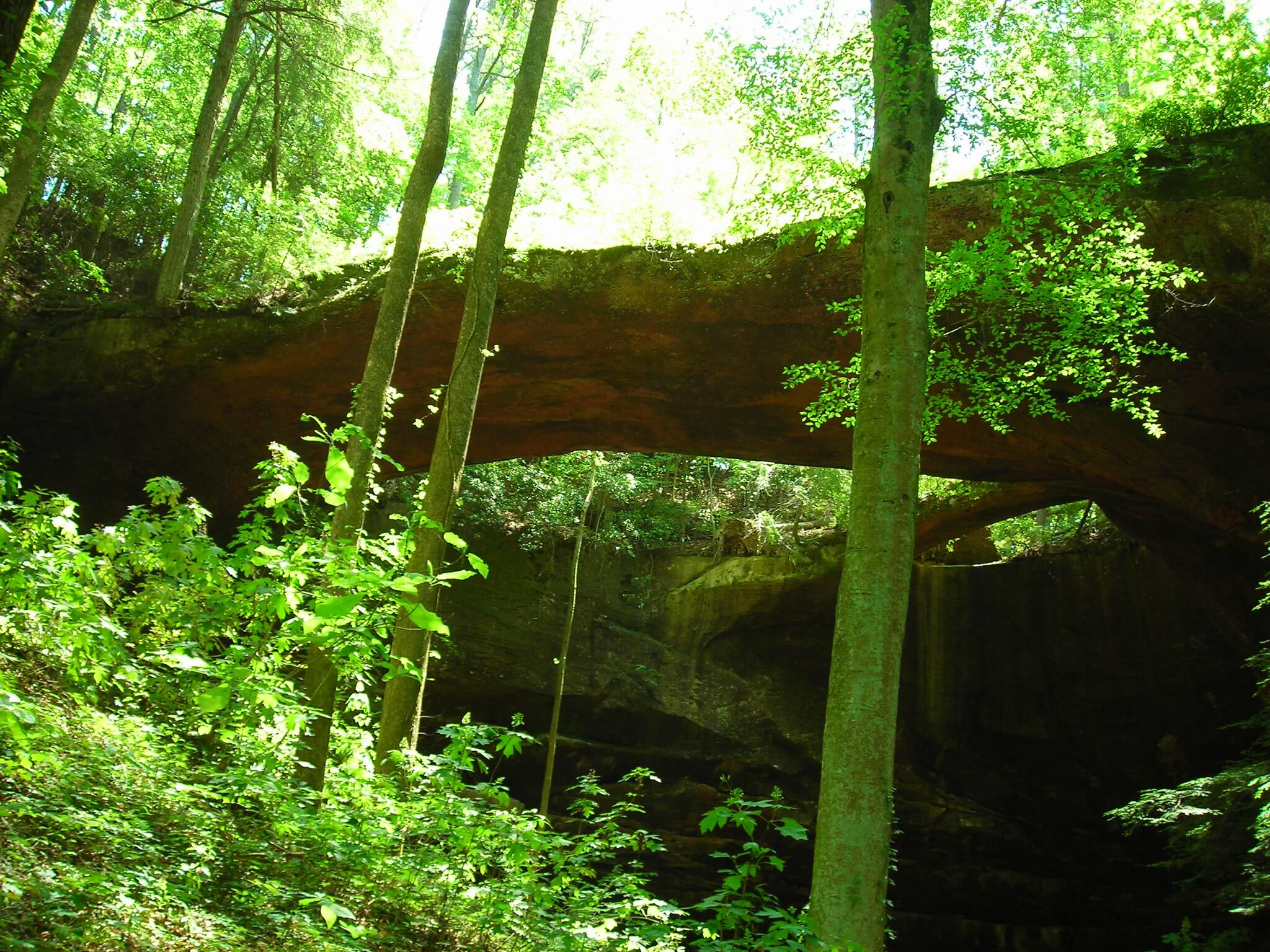 natural bridge park