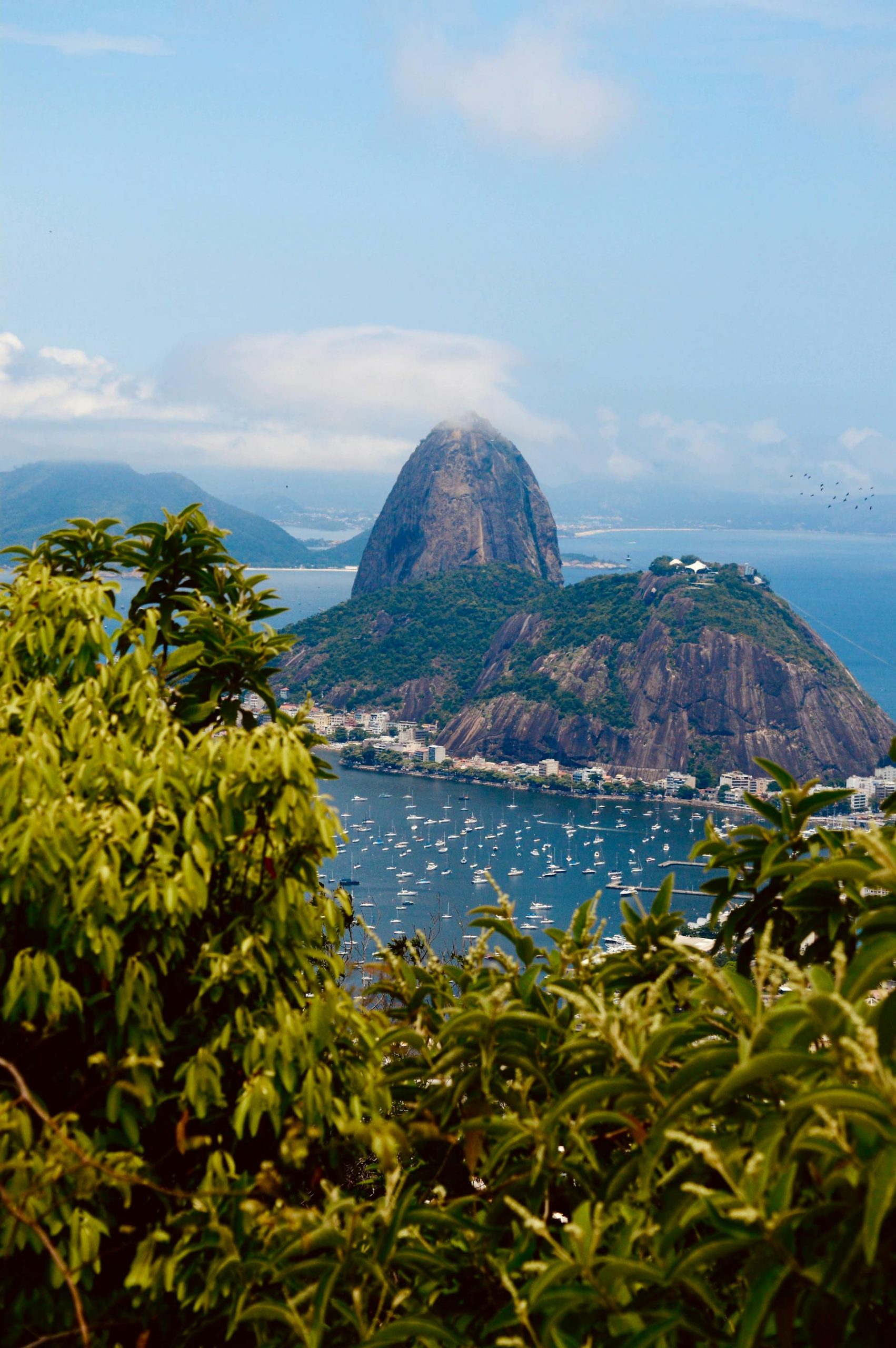 Sugar Loaf and Botafogo are two of the icons of Rio de Janeiro - an incredible combination of green and blue.