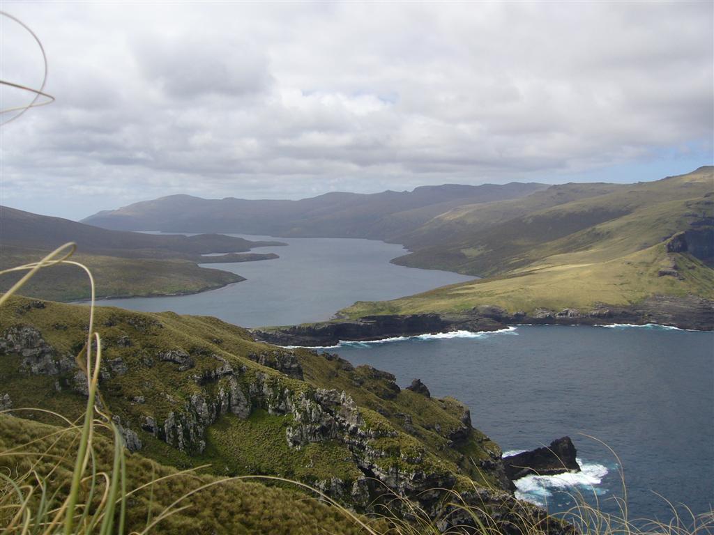 Roughly 460 kilometers south of New Zealand's South Island, deep in the latitudes sailors once nicknamed the "Roaring Forties" for their relentless gales, lies a cluster of jagged, wind-battered land known as the Auckland Islands.