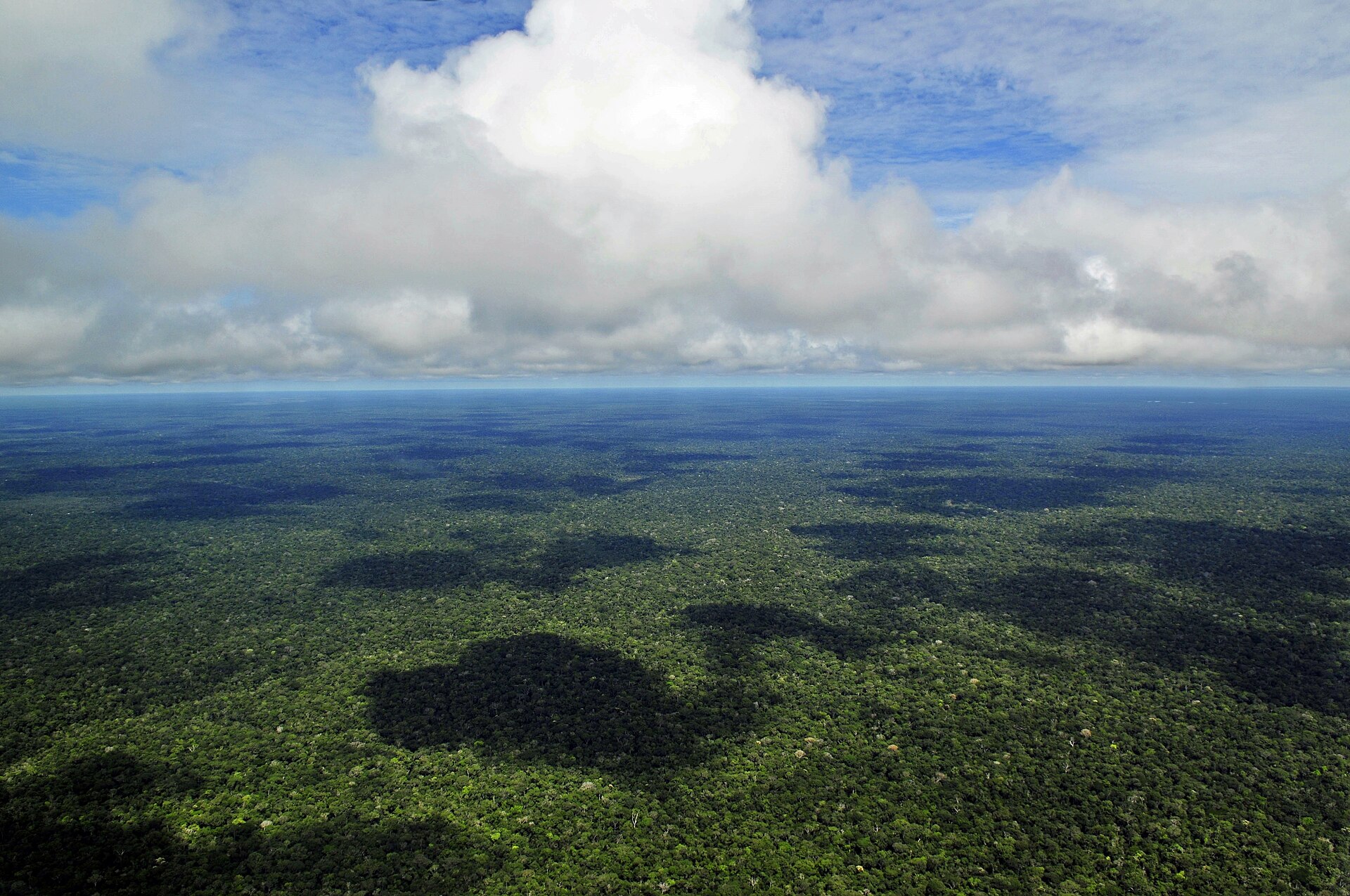 The sheer scale of the Amazon is almost impossible to grasp - this vast rainforest is much larger than the entire European Union and slightly more than two-thirds the size of the contiguous United States, Alaska, and Hawaii combined. One could fly for hours and still see nothing but an endless sea of green stretching to the horizon.