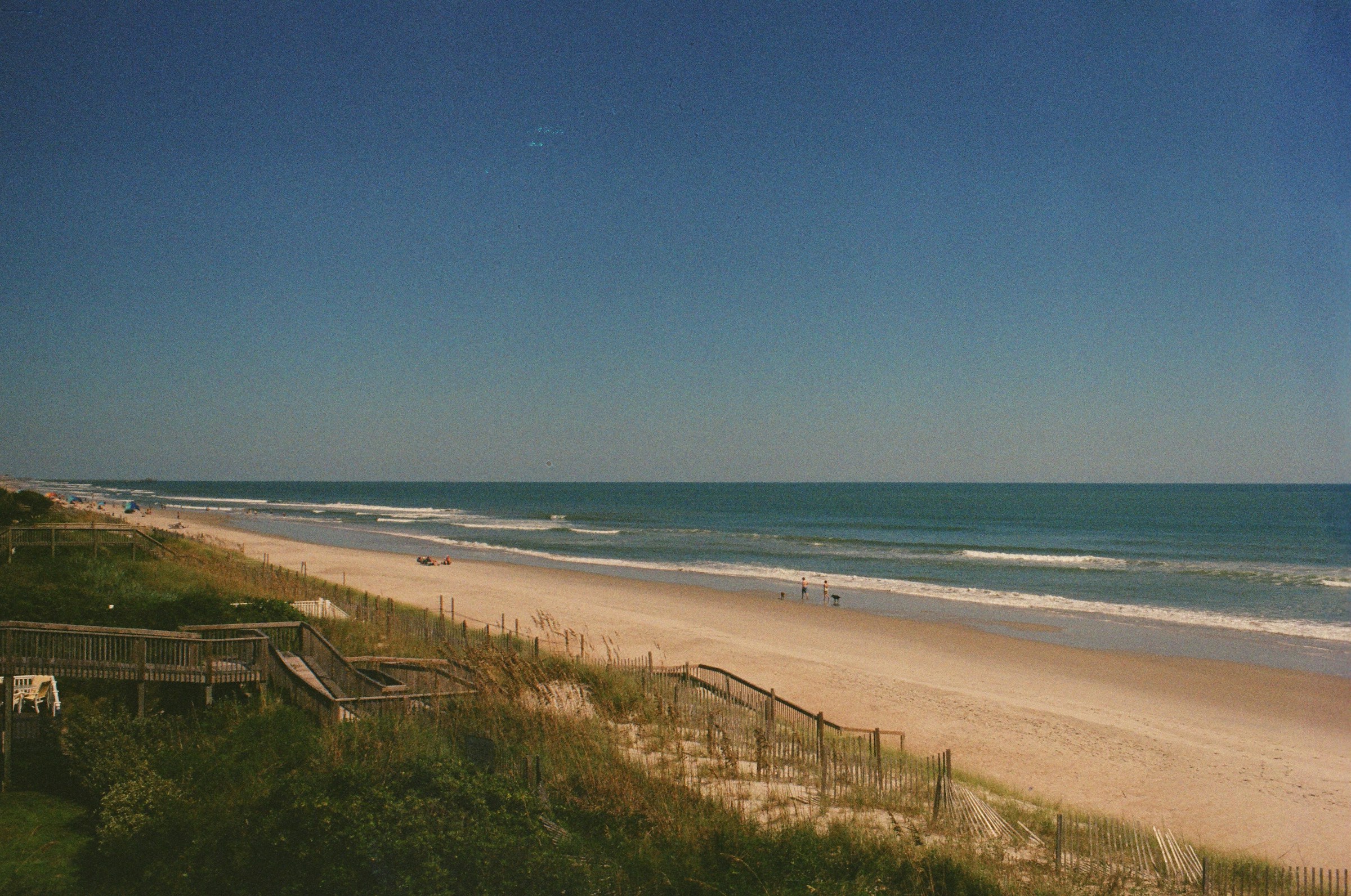 As August progresses, shark sightings near the coast of North Carolina become increasingly common, as many species migrate south in search of warmer waters.