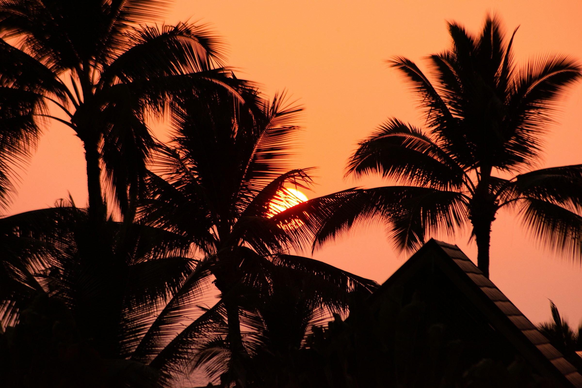 So-called tropical nights subject the human body to extreme stress, impairing its natural ability to cool down and recover.