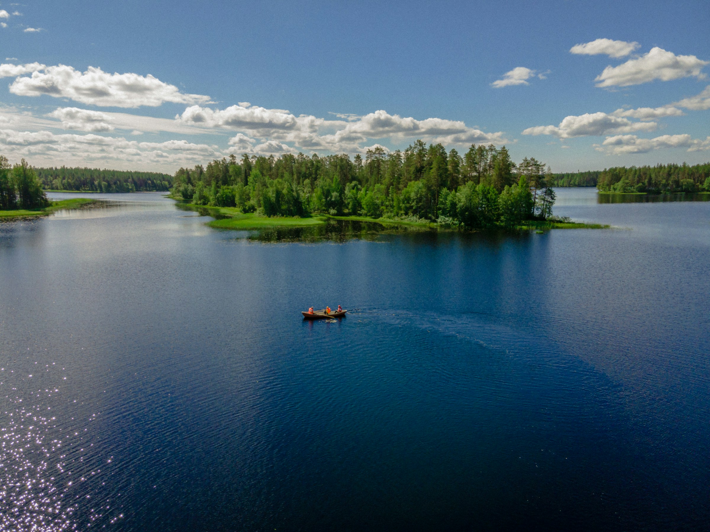 It is difficult to say with absolute certainty which countries in the world are the safest in terms of the risk posed by dangerous animals, but overall the Scandinavian countries are among the places where one can most easily enjoy wildlife without being exposed to a high level of risk. In the photo: Lake Pielinen and the famous Koli National Park, which offers one of the country's most iconic natural panoramas, one that has inspired a number of Finnish artists and composers, including Jean Sibelius.